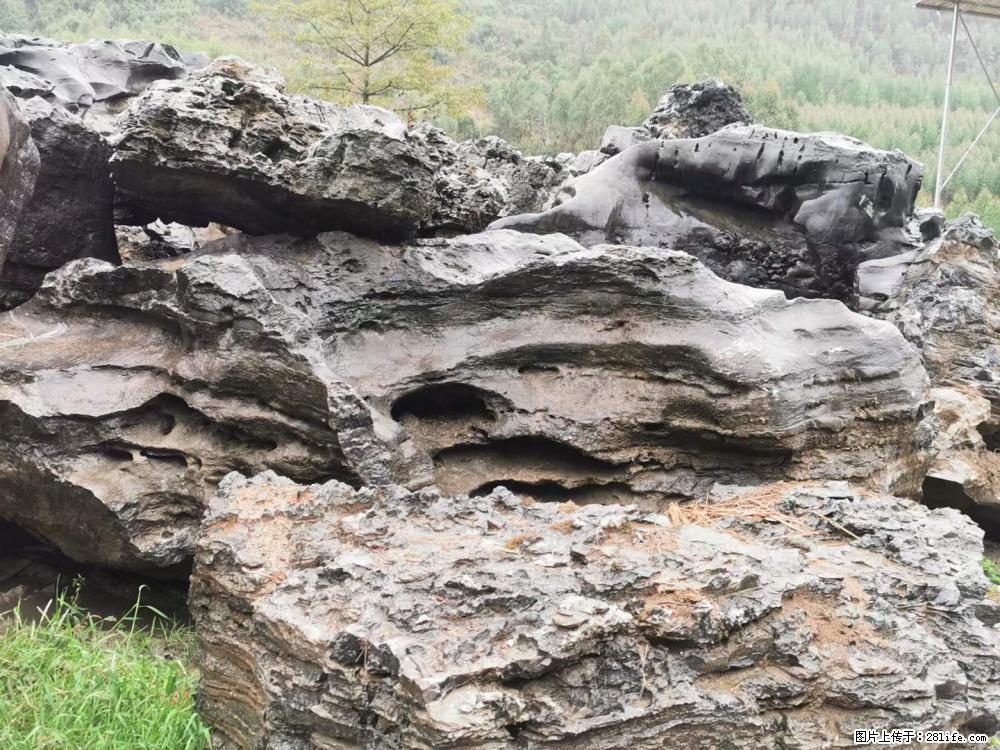 风景石、假山石大量有货,有需要的欢迎联系 - 新手上路 - 大庆生活社区 - 大庆28生活网 dq.28life.com