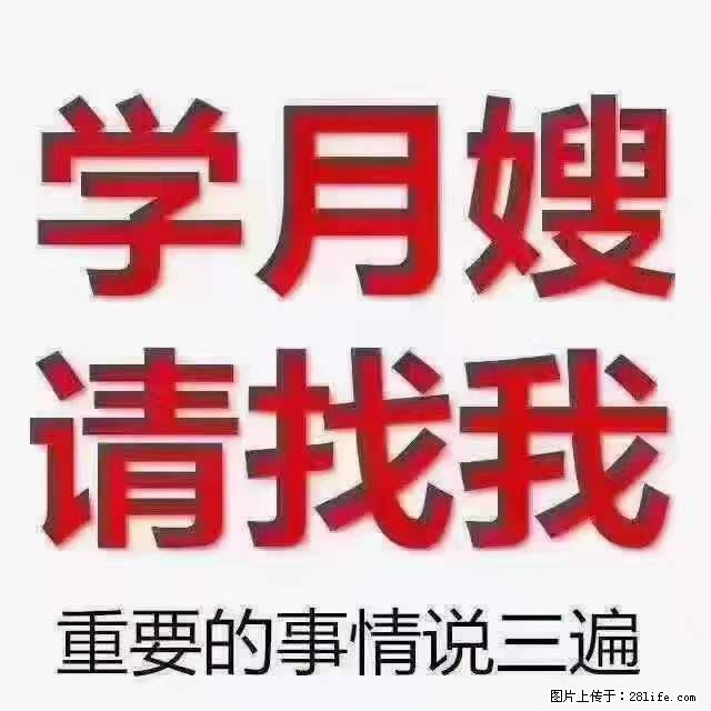 为什么要学习月嫂,育婴师? - 其他广告 - 广告专区 - 大庆分类信息 - 大庆28生活网 dq.28life.com