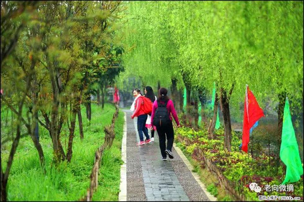 【春天,广西桂林灌阳县向您发出邀请!】江口老街又逢春 - 游山玩水 - 大庆生活社区 - 大庆28生活网 dq.28life.com