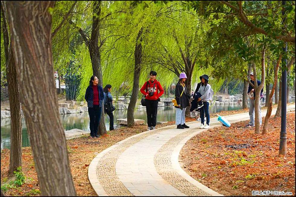 【春天,广西桂林灌阳县向您发出邀请!】江口老街又逢春 - 游山玩水 - 大庆生活社区 - 大庆28生活网 dq.28life.com