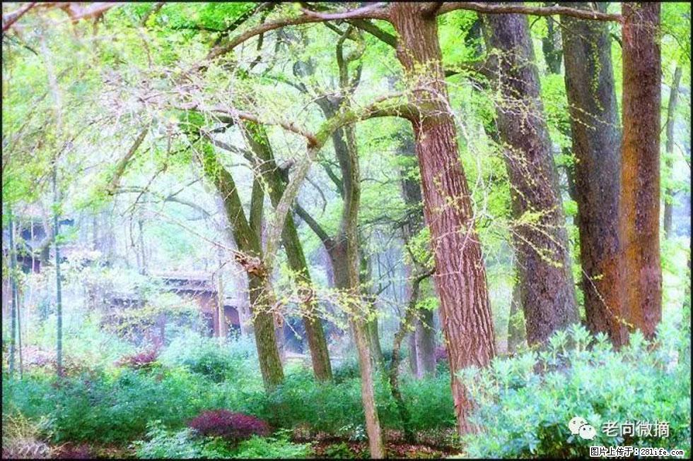 【春天,广西桂林灌阳县向您发出邀请!】在小龙村与春天约会 - 游山玩水 - 大庆生活社区 - 大庆28生活网 dq.28life.com