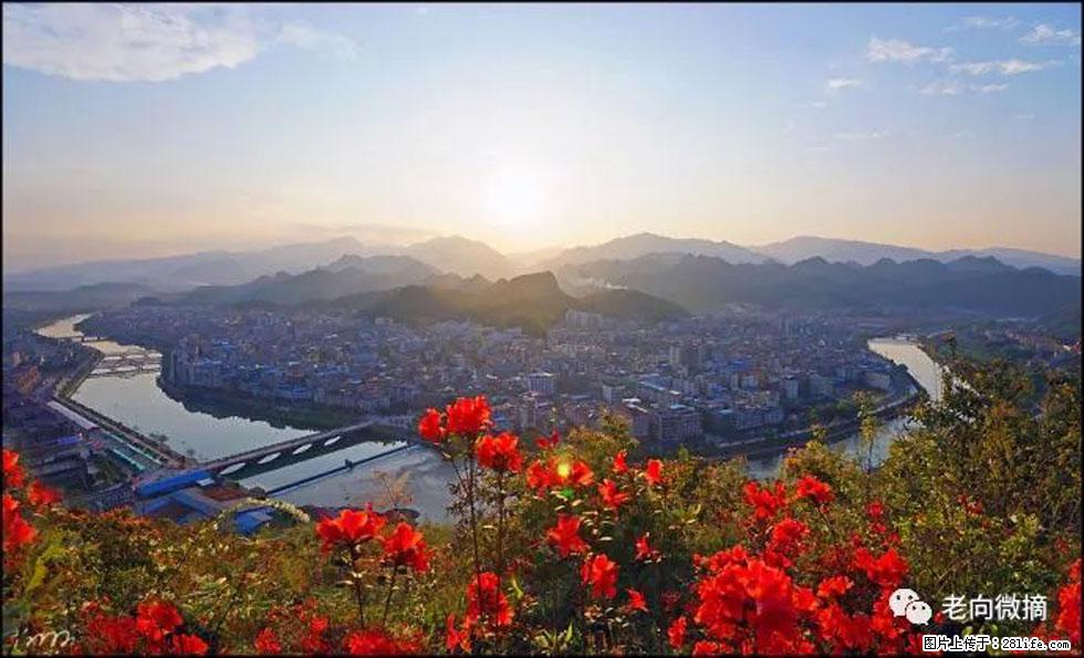 【春天，广西桂林灌阳县向您发出邀请！】登麒麟山，相约映山红 - 游山玩水 - 大庆生活社区 - 大庆28生活网 dq.28life.com