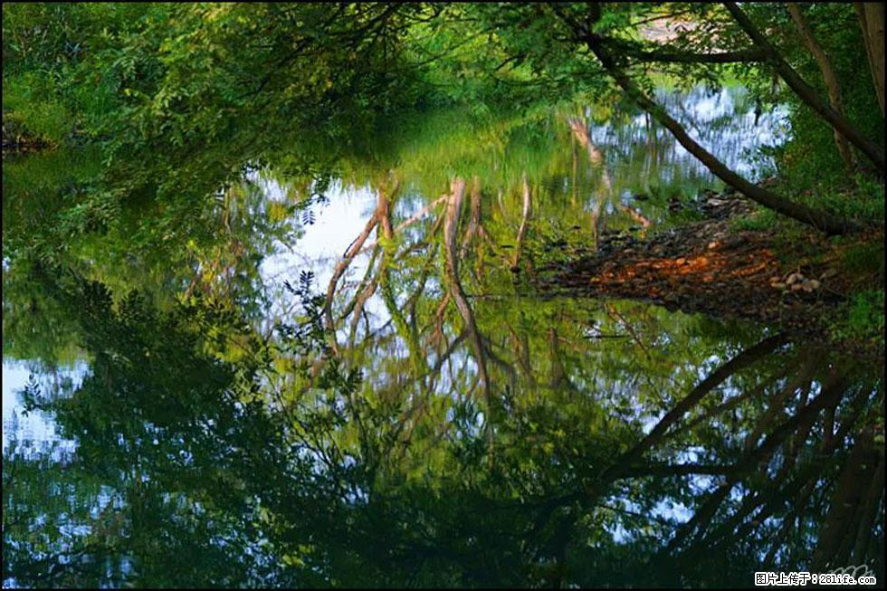 【春天,广西桂林灌阳县向您发出邀请!】熊家寨湿地公园 - 游山玩水 - 大庆生活社区 - 大庆28生活网 dq.28life.com