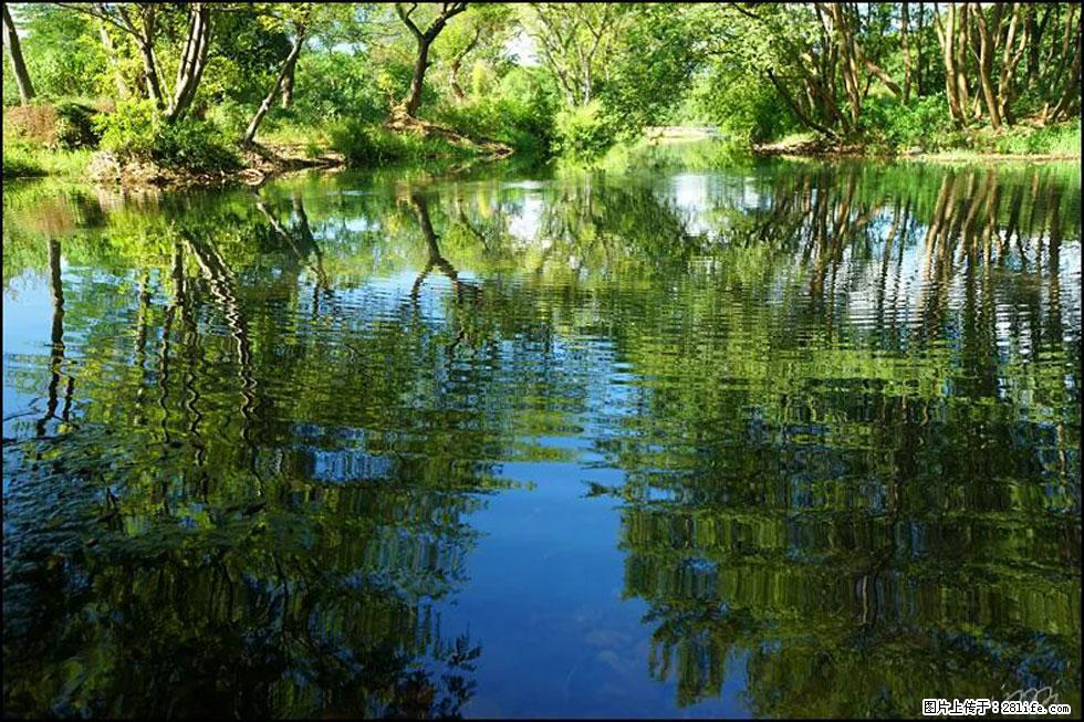 【春天,广西桂林灌阳县向您发出邀请!】熊家寨湿地公园 - 游山玩水 - 大庆生活社区 - 大庆28生活网 dq.28life.com