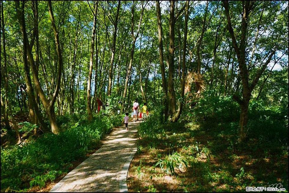 【春天,广西桂林灌阳县向您发出邀请!】熊家寨湿地公园 - 游山玩水 - 大庆生活社区 - 大庆28生活网 dq.28life.com