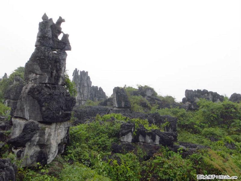 桂林旅游名城景点:灌阳文市石林 - 游山玩水 - 大庆生活社区 - 大庆28生活网 dq.28life.com