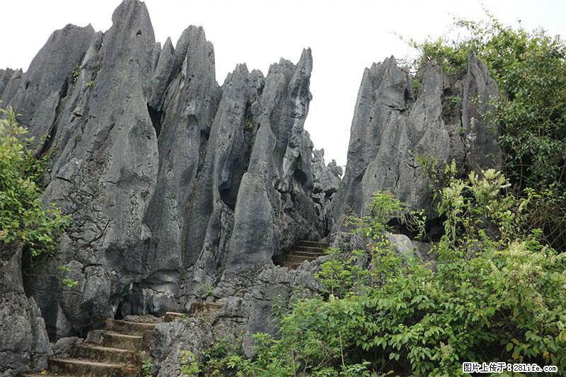 桂林旅游名城景点:灌阳文市石林 - 游山玩水 - 大庆生活社区 - 大庆28生活网 dq.28life.com