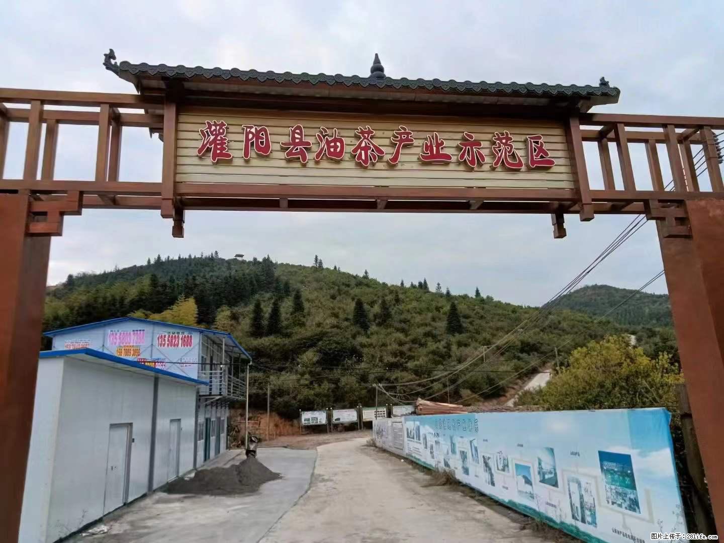 【灌阳县油茶产业示范区】一个有着充实的精神生活的人，对待身外之物自会有一种淡泊的态度 - 美食天地 - 大庆生活社区 - 大庆28生活网 dq.28life.com