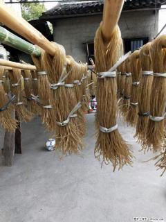 【灌阳正宗红薯粉】美女家里自己做的,干净卫生,假一赔十,价格合理,抢购电话:13737312895 - 大庆28生活网 dq.28life.com
