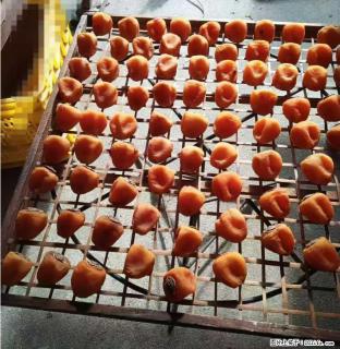 广西桂林平乐桥亭【柿饼之乡】2025年纯手工制作、无任何添加剂的第一批柿饼准备上市了，欢迎联系订购！ - 大庆28生活网 dq.28life.com