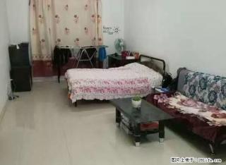 农大外包园附近联想公寓供暖好干净亮堂东西齐全两个人住特别温馨 - 大庆28生活网 dq.28life.com