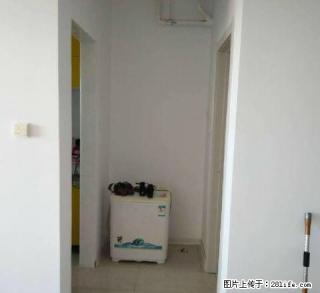 不是中介精装朝阳实拍图片随时看房联想外包园 - 大庆28生活网 dq.28life.com