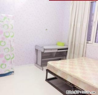 (单间出租)新村唐人中心出租单间合租包水电网可洗澡做饭 - 大庆28生活网 dq.28life.com