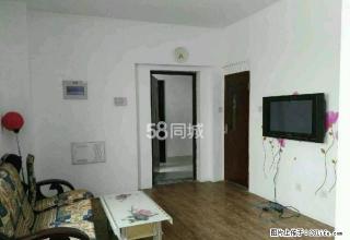 联想科技城标准一室一厅一厨一卫设施齐全拎包即住 - 大庆28生活网 dq.28life.com