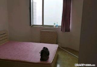 (单间出租)新村新玛特程宇附近锦江公馆 4室1厅1卫 男女不限 - 大庆28生活网 dq.28life.com