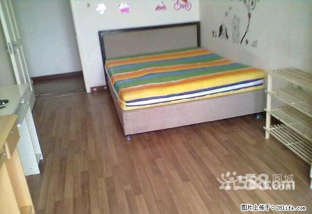 萨尔图唐人中心 5室1厅16平米 简单装修 押一付一 - 房屋出租 - 房屋租售 - 大庆分类信息 - 大庆28生活网 dq.28life.com
