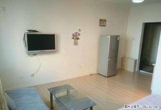 短期出租 4560805奥林A区小户型 干净 拎包入住 - 大庆28生活网 dq.28life.com