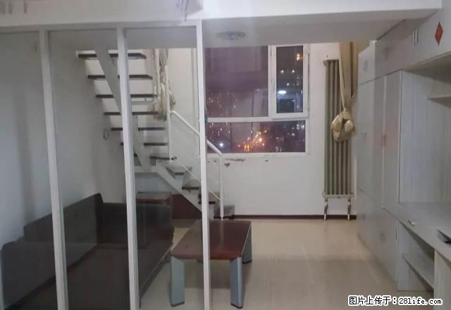 巨鹰国际 可月付  随时看房 - 房屋出租 - 房屋租售 - 大庆分类信息 - 大庆28生活网 dq.28life.com