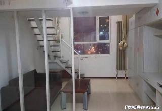 巨鹰国际 可月付  随时看房 - 大庆28生活网 dq.28life.com