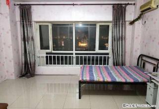 东安阳光 一室0厅一卫 拎包住 1100月 年付 实图 - 大庆28生活网 dq.28life.com