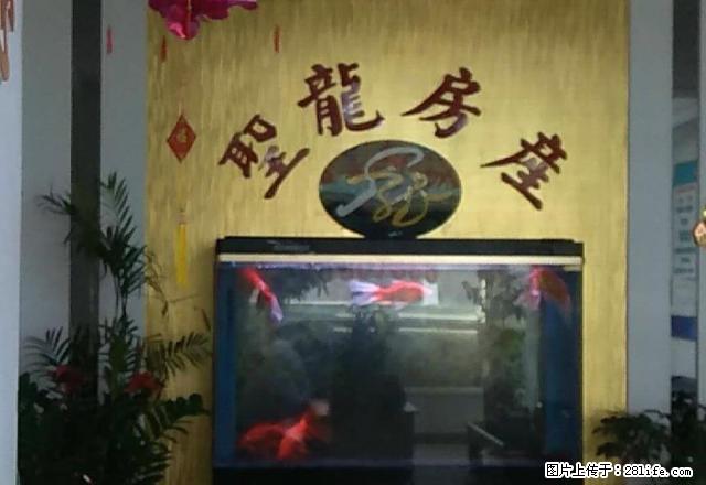 新村六区8000急租简装两室,六楼。全新村都没这个价的房子。 - 房屋出租 - 房屋租售 - 大庆分类信息 - 大庆28生活网 dq.28life.com