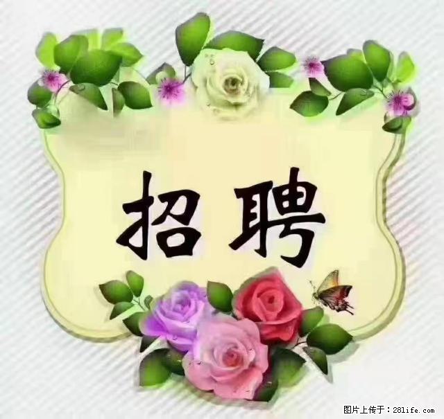 【招聘】住家育儿嫂,上户日期:4月4日,工作地址:上海 黄浦区 - 职场交流 - 大庆生活社区 - 大庆28生活网 dq.28life.com
