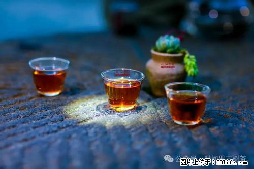 时间果百年古树2025年春红茶 - 购物交流 - 大庆生活社区 - 大庆28生活网 dq.28life.com