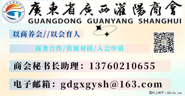 “粤灌文化 美好生活”油茶文化主题活动在广东深圳成功举办 - 大庆生活资讯 - 大庆28生活网 dq.28life.com