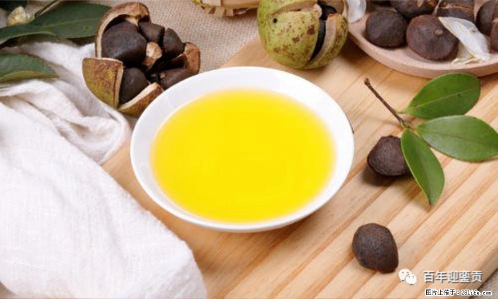 揭秘茶油的5大核心营养成分!被称为人体健康的“守护盾”! - 大庆生活资讯 - 大庆28生活网 dq.28life.com
