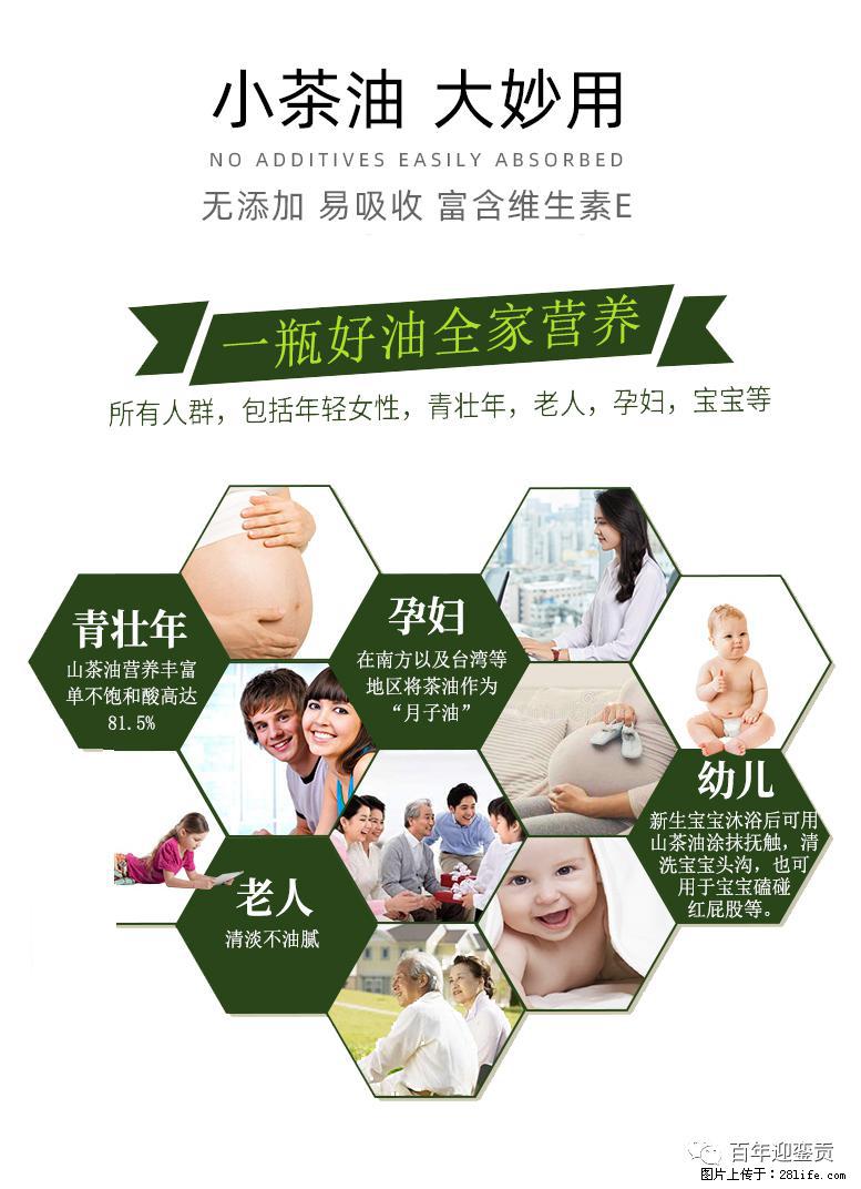 世界没有真相,只有认知,最好的食用油是中国的山茶油! - 大庆生活资讯 - 大庆28生活网 dq.28life.com