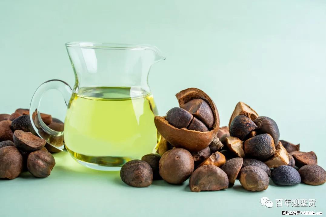 世界没有真相，只有认知，最好的食用油是中国的山茶油！ - 大庆生活资讯 - 大庆28生活网 dq.28life.com