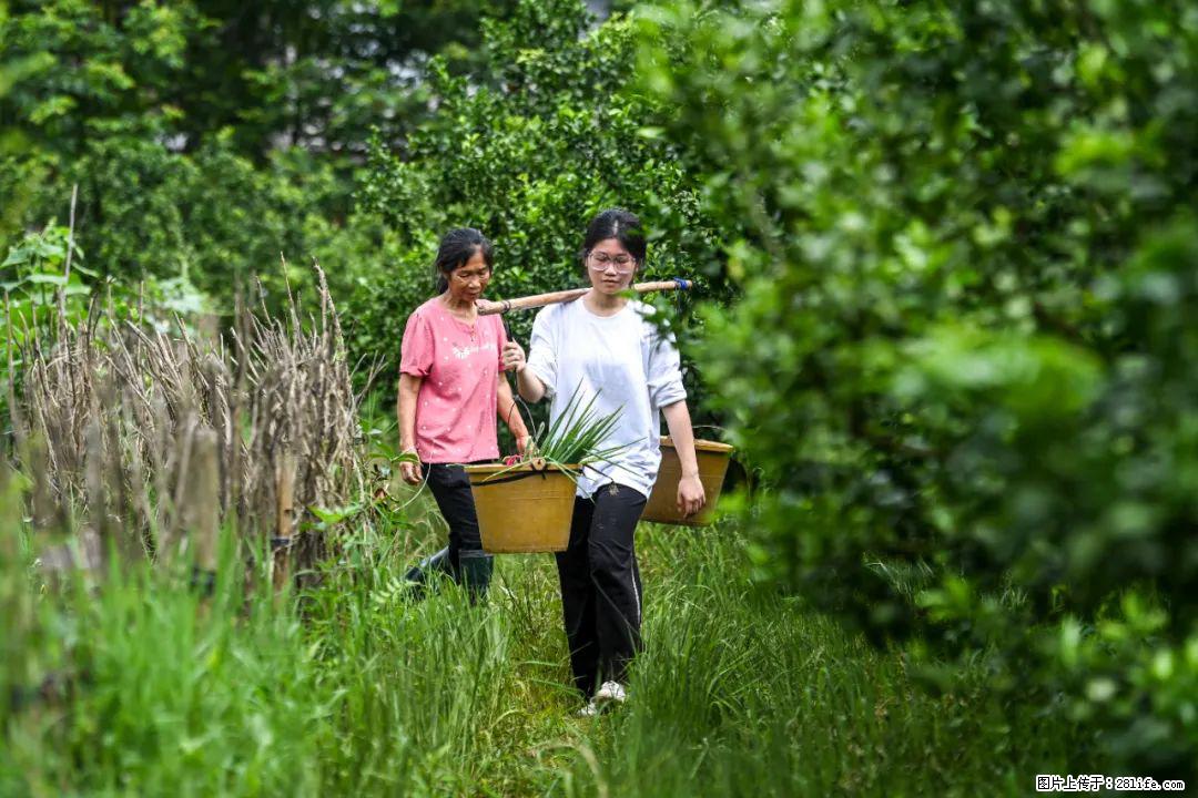 全网追的“扁担女孩”，找了一份暑假工，时薪12元 - 大庆生活资讯 - 大庆28生活网 dq.28life.com