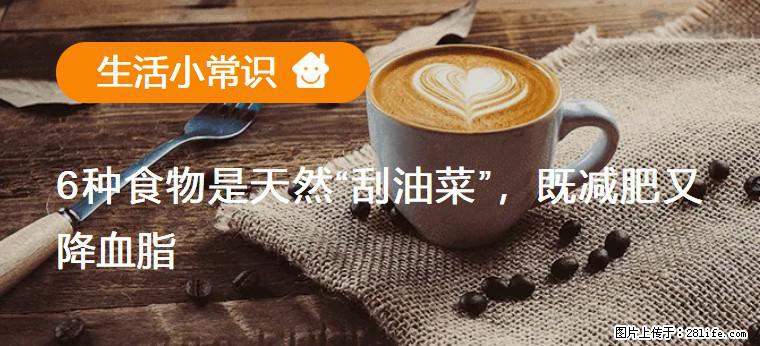 【生活小常识】6种食物是天然“刮油菜”，既减肥又降血脂 - 大庆生活资讯 - 大庆28生活网 dq.28life.com