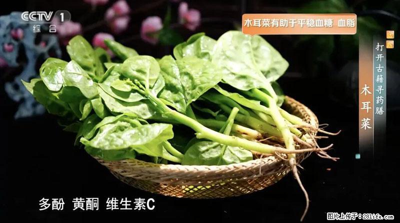 比牛奶补钙还厉害！凉血解毒、稳血糖...这菜冬天必吃，很多人却当草 - 大庆生活资讯 - 大庆28生活网 dq.28life.com