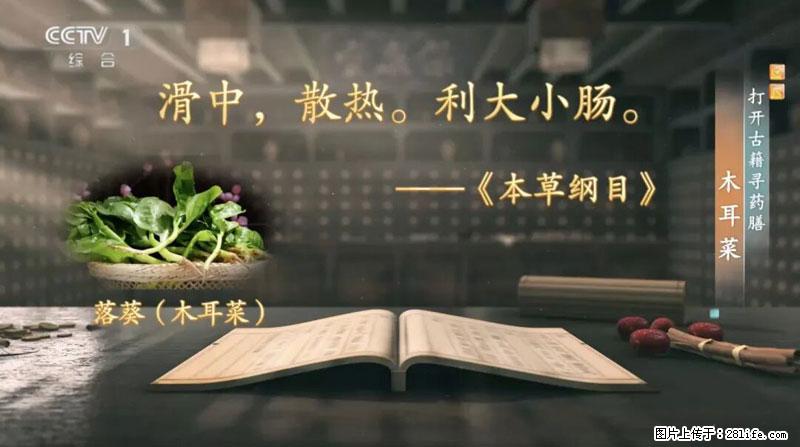 比牛奶补钙还厉害！凉血解毒、稳血糖...这菜冬天必吃，很多人却当草 - 大庆生活资讯 - 大庆28生活网 dq.28life.com