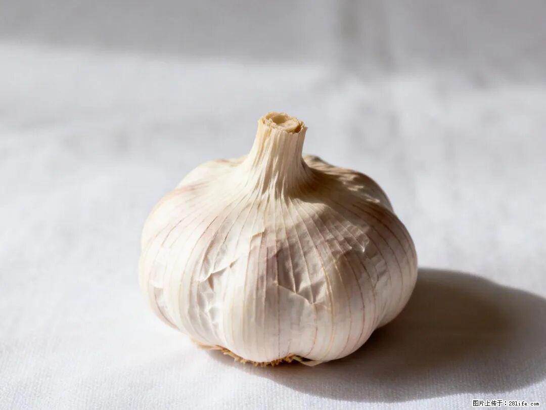 关于大蒜，除了“天然抗生素”，这4个谣言更该警惕! - 大庆生活资讯 - 大庆28生活网 dq.28life.com
