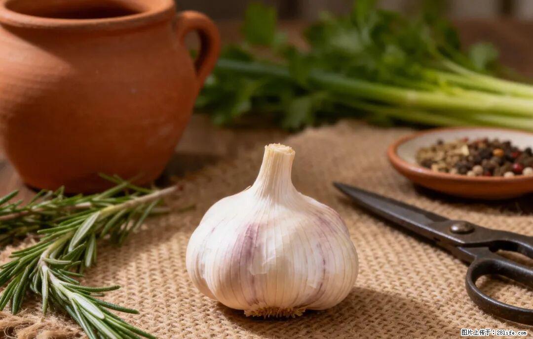 关于大蒜，除了“天然抗生素”，这4个谣言更该警惕! - 大庆生活资讯 - 大庆28生活网 dq.28life.com