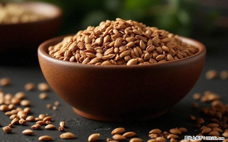 这三苦是三高“克星”，心血管干净不易堵！每天吃一点，指标慢慢降下来~ - 大庆生活资讯 - 大庆28生活网 dq.28life.com