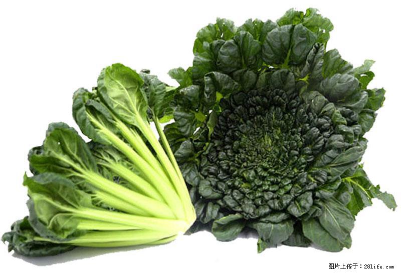 这些蔬菜是“天然钙片”，这6种被医生重点推荐 - 大庆生活资讯 - 大庆28生活网 dq.28life.com