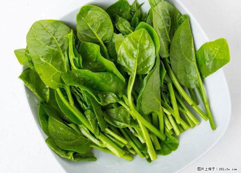 这些蔬菜是“天然钙片”，这6种被医生重点推荐 - 大庆生活资讯 - 大庆28生活网 dq.28life.com