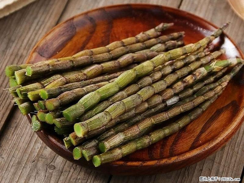 铁皮石斛的作用与功能主治 - 大庆生活资讯 - 大庆28生活网 dq.28life.com