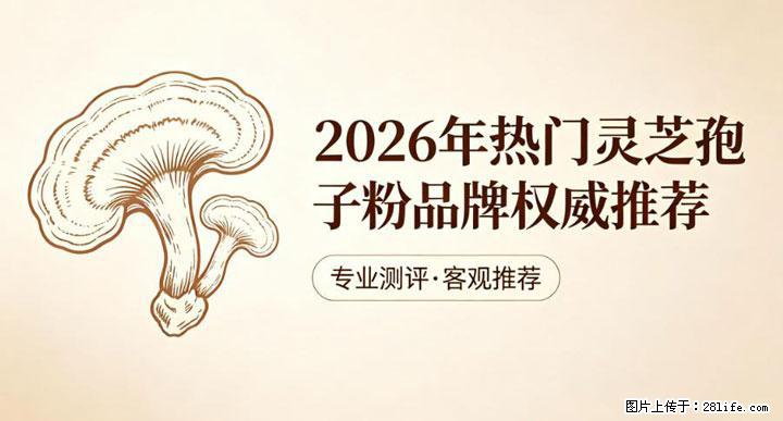 灵芝孢子粉含量越高越有效？2026 年七款热门品牌深度实测，肠胃敏感者避坑指南 - 大庆生活资讯 - 大庆28生活网 dq.28life.com