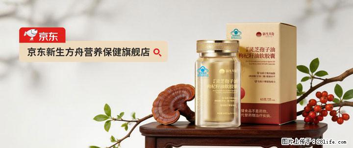 灵芝孢子粉含量越高越有效？2026 年七款热门品牌深度实测，肠胃敏感者避坑指南 - 大庆生活资讯 - 大庆28生活网 dq.28life.com