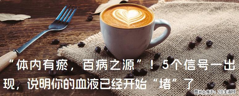“体内有瘀,百病之源”!5个信号一出现,说明你的血液已经开始“堵”了 - 大庆生活资讯 - 大庆28生活网 dq.28life.com